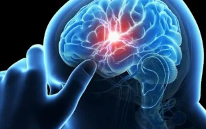 در بیماری‌های عصبی، سلول‌های ایمنی مغز «اشتهای شدید» برای قند دارند