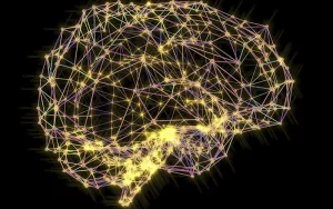 مغز چگونه به خود نگاه می کند