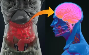 The Connection Between Bowel Health and Parkinson's Disease