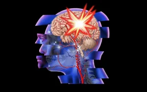 Brain Injuries Disrupt Recycling of Immune Cells in Brain