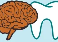 Oral Health Linked to Brain Health