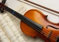 The Soothing Effect of Live Viola Music on Individuals with Epilepsy