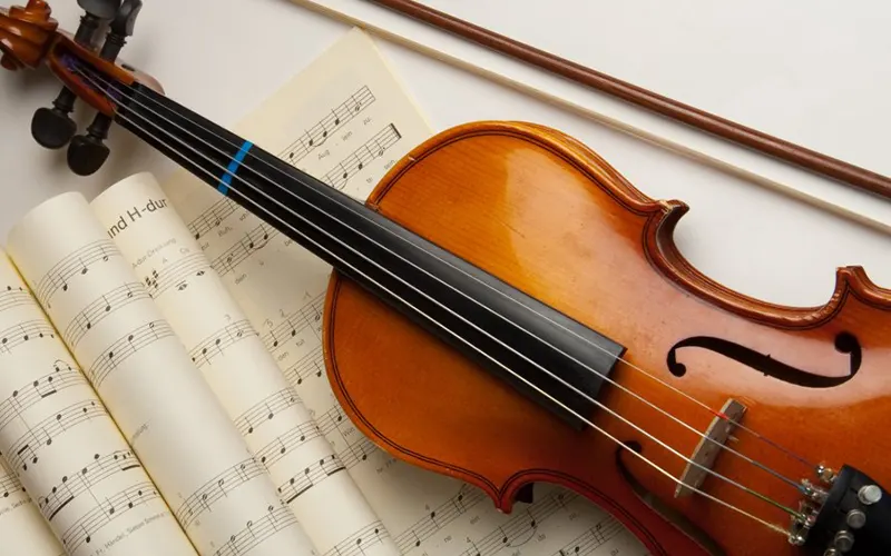 The Soothing Effect of Live Viola Music on Individuals with Epilepsy