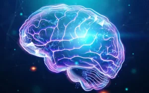 Brain's Self-Repair Mechanism Uncovered After Stroke