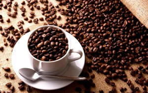 Caffeine Reduces Parkinson's Risk, Even for Those with Genetic Susceptibility