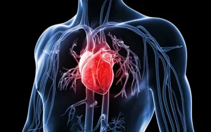 آسیب های مغزی به‌عنوان یک عامل خطر بیماری قلبی عروقی 
