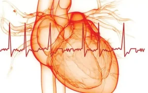 Newly diagnosed atrial fibrillation linked to higher memory decline risk