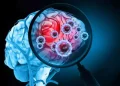 Long-term use of specific hormone drugs linked to higher brain tumor risk