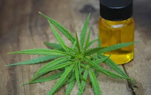 Research Uncovers Mechanism by Which CBD Mitigates Epileptic Seizures