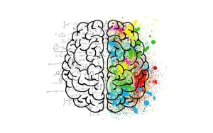 بررسی چگونگی ذخیره و نگهداری اطلاعات توسط مغز