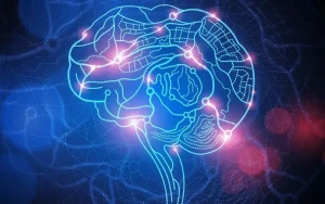 نقشه های جدید اتصال مغز بینش هایی را در مورد هوشیاری انسان ارائه می دهد